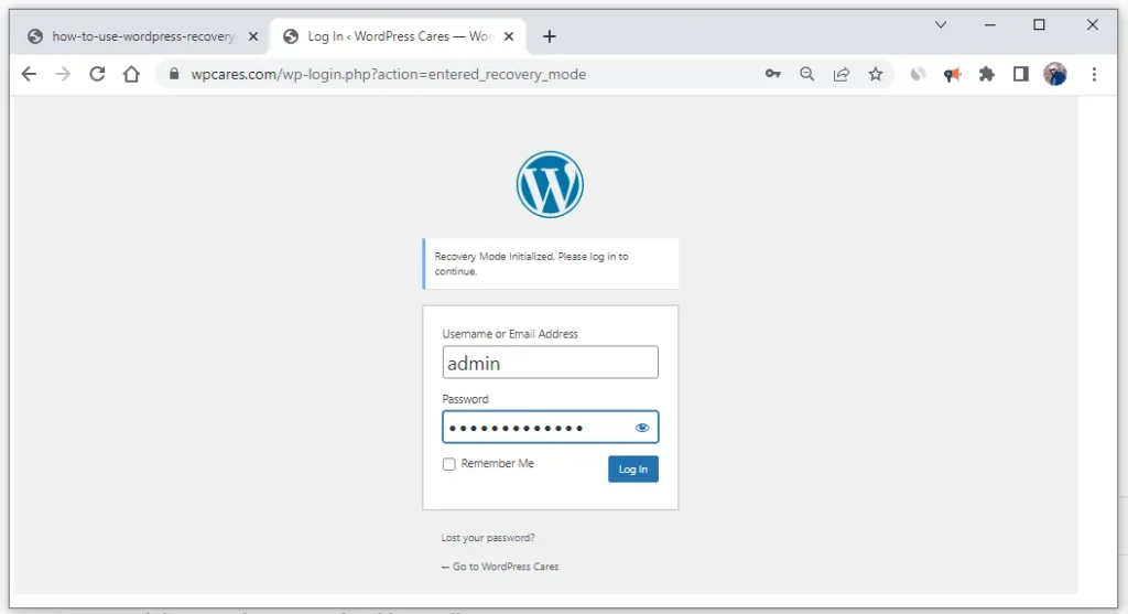 How to enter recovery mode in WordPress?